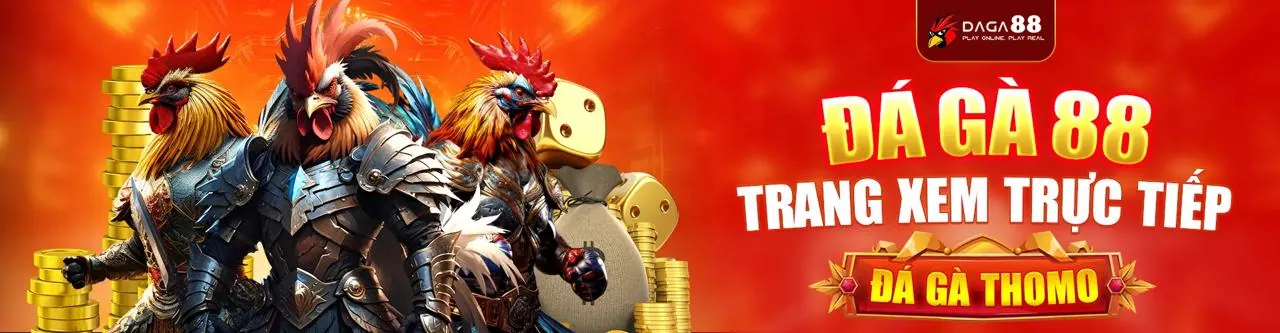 Hình ảnh đá gà trực tuyến tại Win365